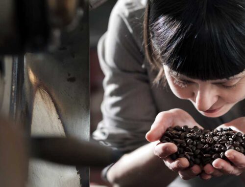 Coffee Bean Home Storage Tips – An Update